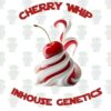 Cherry Whip Full Pack - Inhouse Genetics