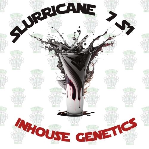Slurricane # 7 S1 Full Pack - Inhouse Genetics