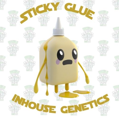 Sticky Glue Full Pack - Inhouse Genetics