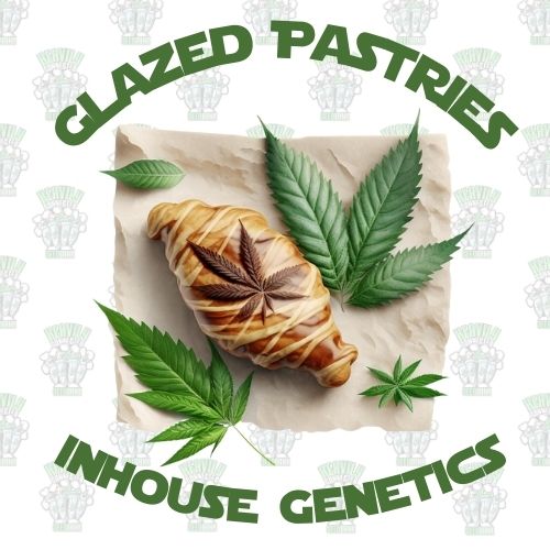 Glazed Pastries Full Pack - Inhouse Genetics