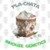 Pla-Chata Full Pack - Inhouse Genetics
