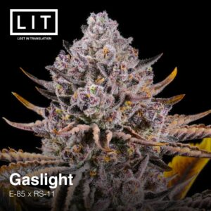 Gaslight Lit Farms