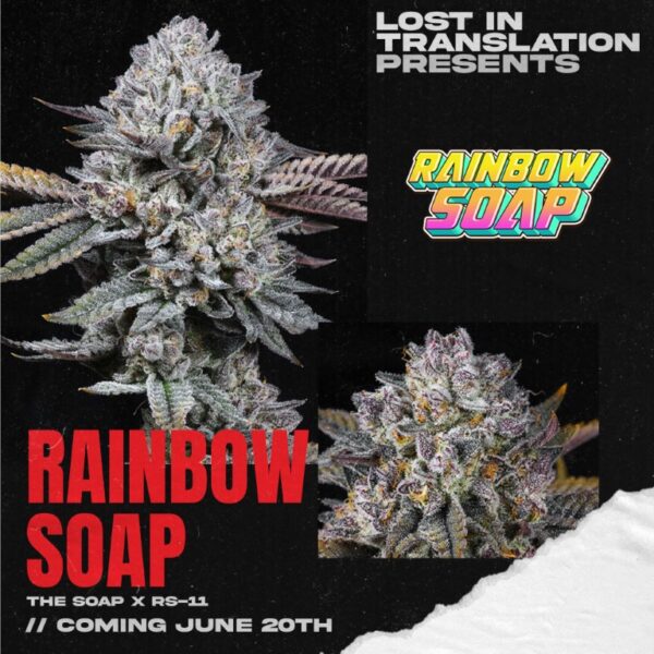 Rainbow Soap Lit Farms