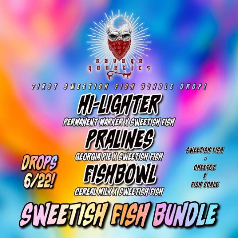 Sweetish Fish Bundle