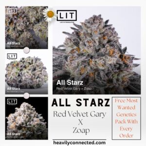 All Starz - Lit Farms