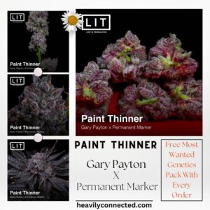 Paint Thinner - Lit Farms