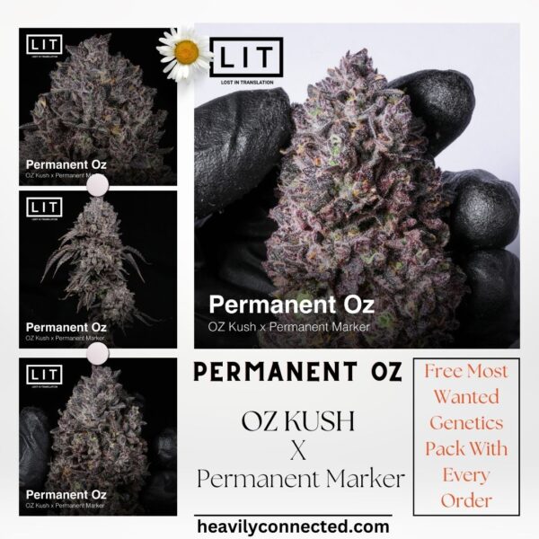 Permanent Oz - Lit Farms