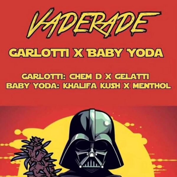 Vaderade (Garlotti X Baby Yoda)