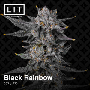 Black Rainbow - Lit Farms