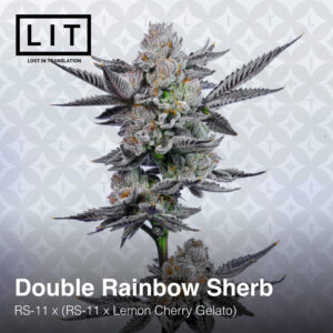 Double Rainbow Sherb - Lit Farms