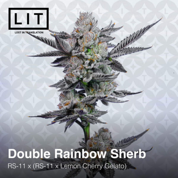Double Rainbow Sherb - Lit Farms