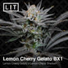 Lemon Cherry Gelato BX1 - Lit Farms