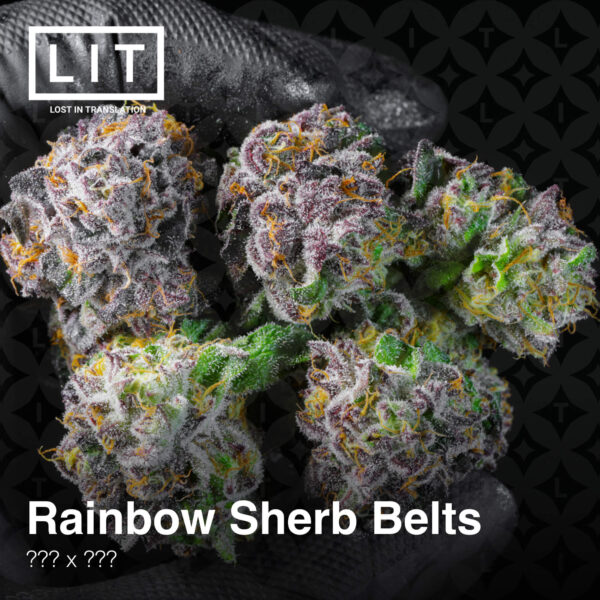 Rainbow Sherb Belts - Lit Farms