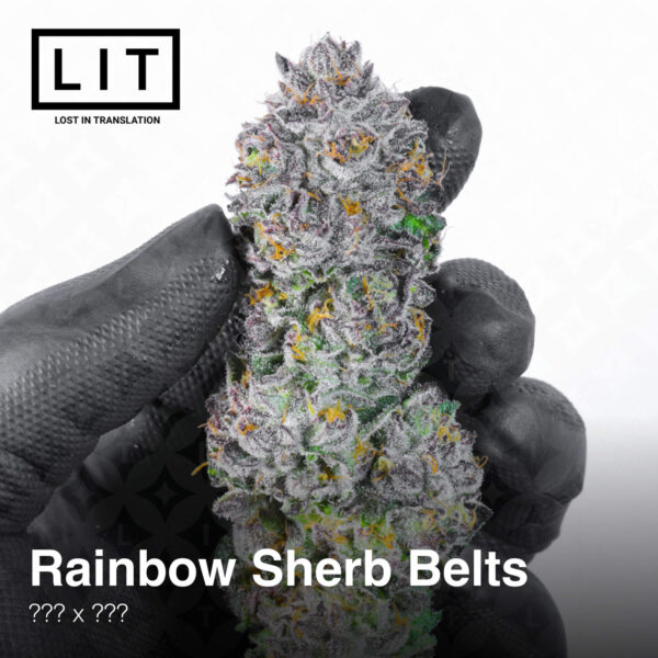 Rainbow Sherb Belts - Lit Farms
