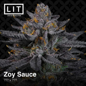 Zoy Sauce - Lit Farms