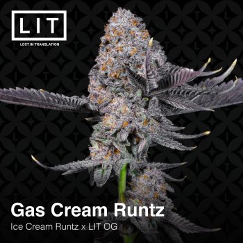 Gas Cream Runtz (Ice Cream Runtz x LIT OG)