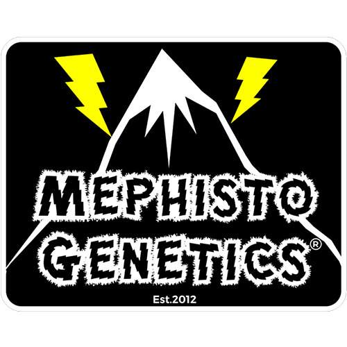 Mephisto-Genetics