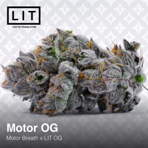 Motor OG (Motor Breath x LIT OG)