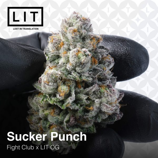Sucker Punch (Fight Club x LIT OG)