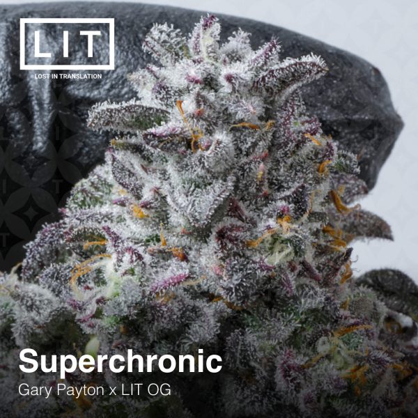 Superchronic (Gary Payton x LIT OG)