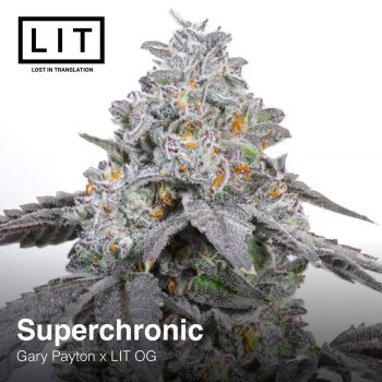 Superchronic (Gary Payton x LIT OG)