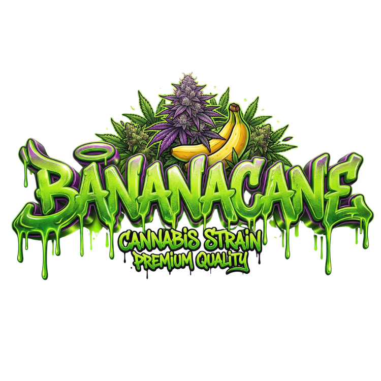 Bananacane – Bluenana x Slurricane #23 Feminized Cannabis Seeds | In-House Genetics