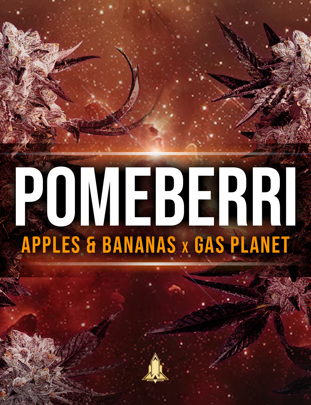 Pomeberri Feminized Seeds – Spaceflight Genetics